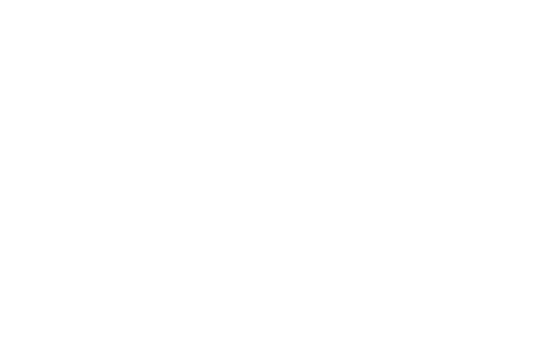 Logo VVS